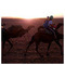 xara_str