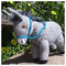 walkwithdonkeys_Crete