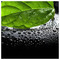SPYROS_PAPADATOS116