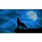 george_asvestopoulos3655