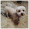 Valia_Boura