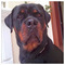 George_Val1209