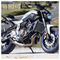 Vasilis_Giannopoulos586