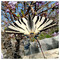 Geo_Jo