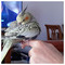 Mixalis_Pavlidis4452