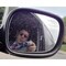 Michael_Xiotis