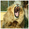 Vassilis_T_2411