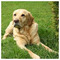 George_45