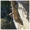 Franklin_Marshall