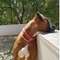 eleni_mylona2953