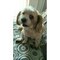 Taylak_84