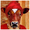 jimthecow