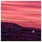 giorgos_mert