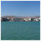 dim_lev5991