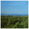 Antonis_Roussakis8473