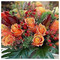 Chara_Chara1841