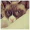Hello_People