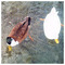 Maria_Konsta5366