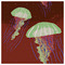MARIA_CHRISTOPHOROU