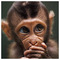 Apostolis_Nastoulis48