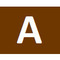 AnestisPapas