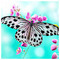 Despoina_Oikonomou4809