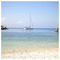 Laz_Pap6560