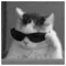 Giannis_Sigalas1283
