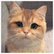 Ivan_Terrible