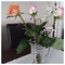 Nikos_Kostopoulos5786