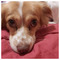 Christina_K_4351