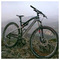 George_Nicolaou1387