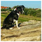 Petra_Brouwer