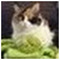 Anastasia_CHristodoulou9278