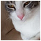 Aggelos_Andreas3743