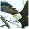 Dimi_Garcia