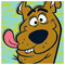 andy_allen