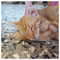Kyriakos_Fesias