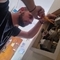 Diam_Syros