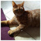 Konstantinos_Antoniou2071