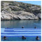 SOTIRIS_GKALIMANIS9181
