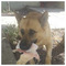 Giorgos_Adamakis6864