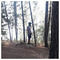 Giannis_Stefanatos9473