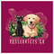 PetServices