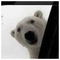 marinos_marinos107