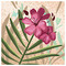 ARETI_PAPADIA2479