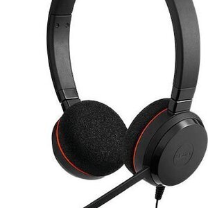 Jabra Evolve 20 On Ear Multimedia Ακουστικά με μικρόφωνο και σύνδεση USB-A