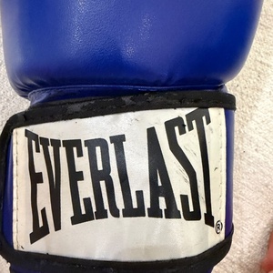 Everlast Prostyle 2.0 925330-70 Γάντια Πυγμαχίας από Συνθετικό Δέρμα για Αγώνα Ροζ