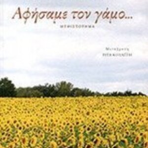 Αφήσαμε τον Γάμο..., Μυθιστόρημα