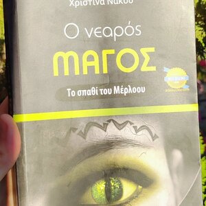 Ο Νεαρός Μάγος: το Σπαθί του Μέρλοου